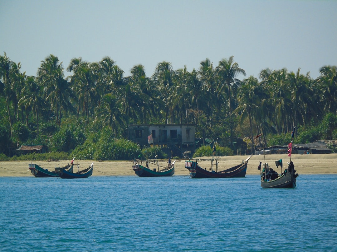 Sundarbans Mangrove Forest